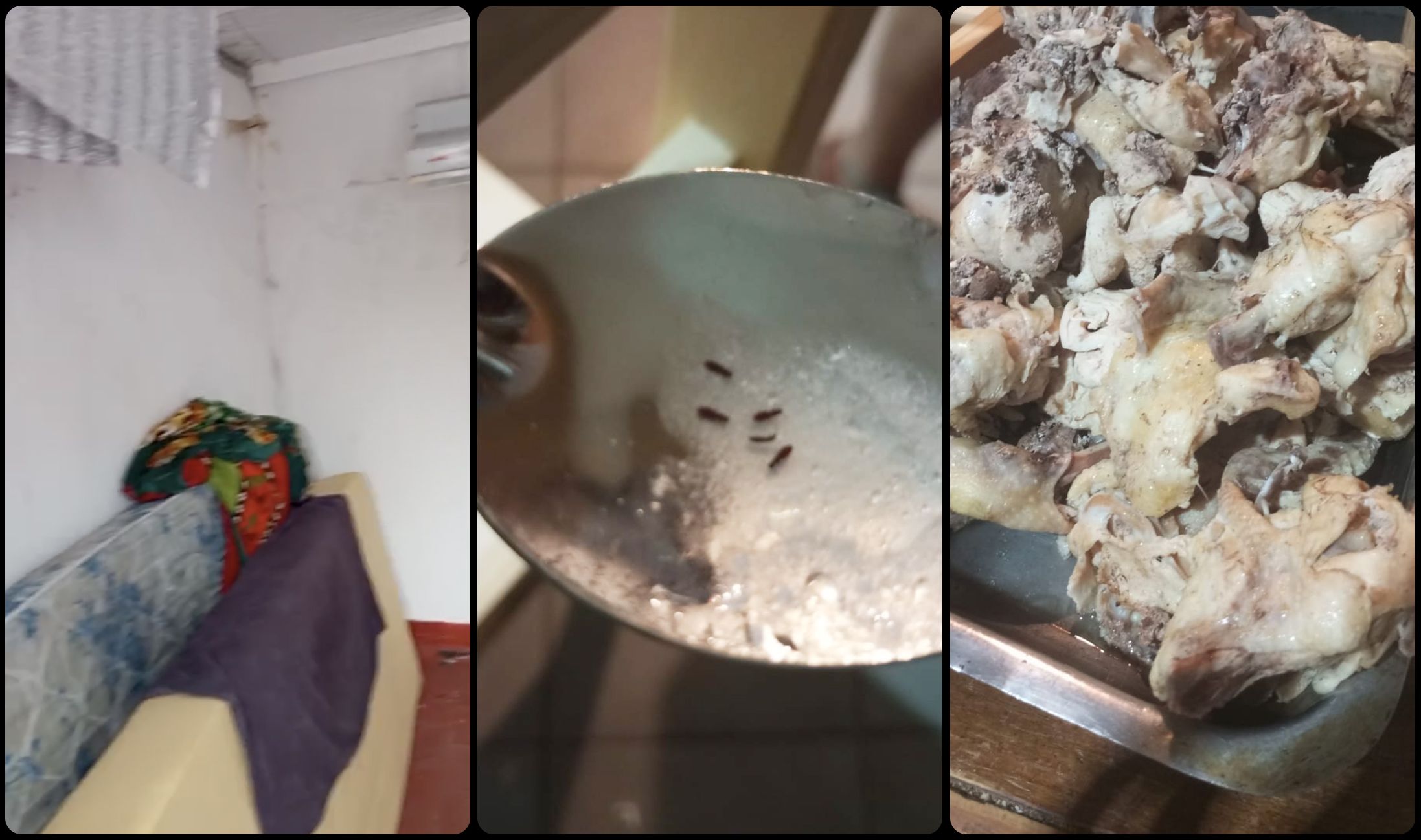 阿根廷足球青训暗面：梦想工厂背后的残酷体系